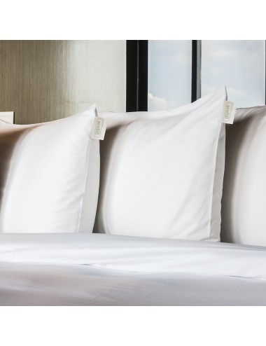 PACK OFERTA 2 Almohadas...