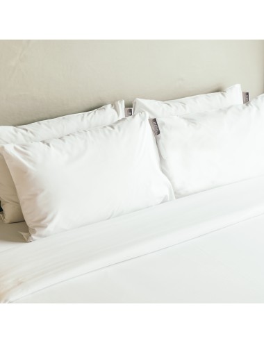 PACK OFERTA 2 Almohadas...